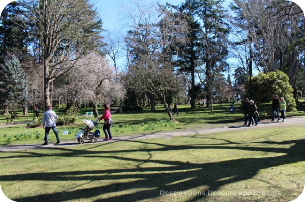 Beacon Hill Park – Walks in Your Backyard