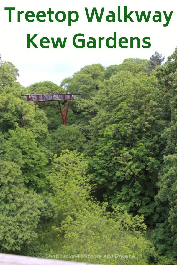 The Treetop Walkway at London's Kew Gardens gives you a close-up view of the trees and a birds-eye view of Kew Gardens #London #England #KewGardens #kew #gardens #TreetopWalkway