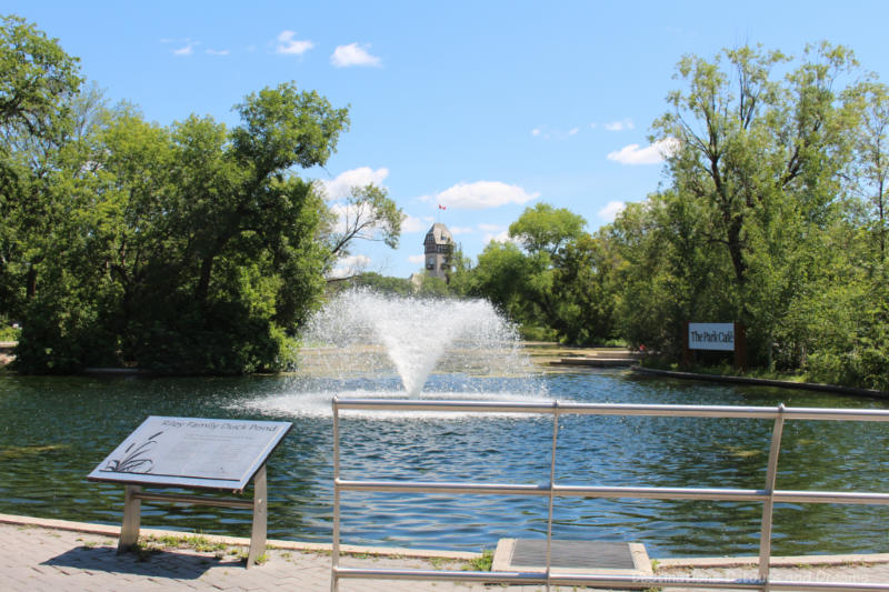 Pond with fountain in middle in the centre of a park