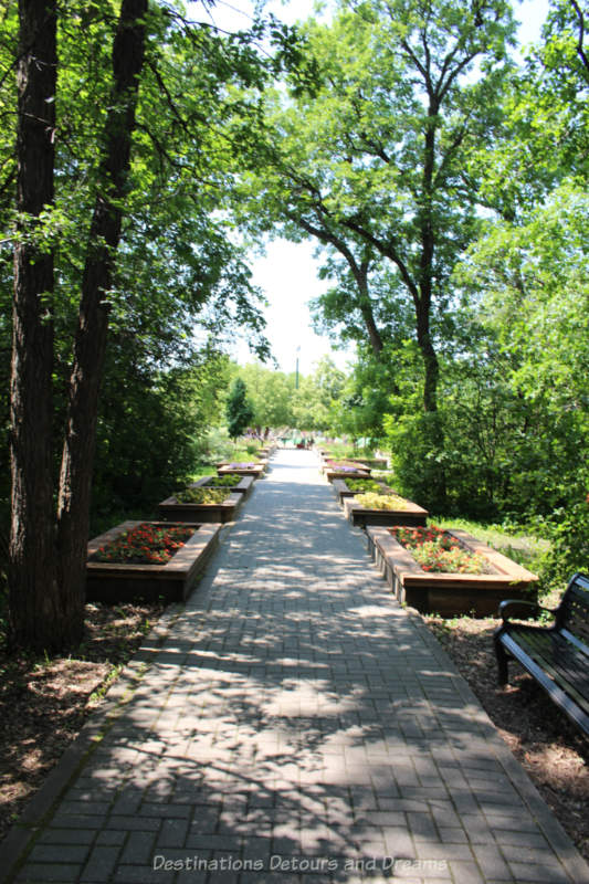 Tree-lined pathway with raised flower beds at its edges