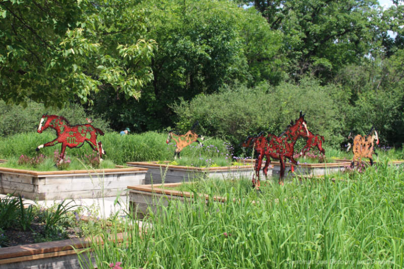 Steel horse cutouts in raised flower beds surrounded by trees and grasses