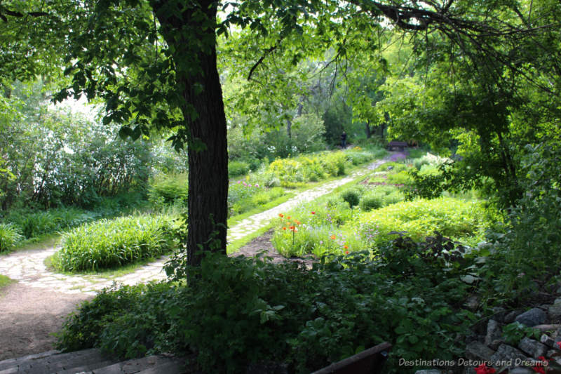 Looking through trees to a landscaped garden below with a flagstone path through it