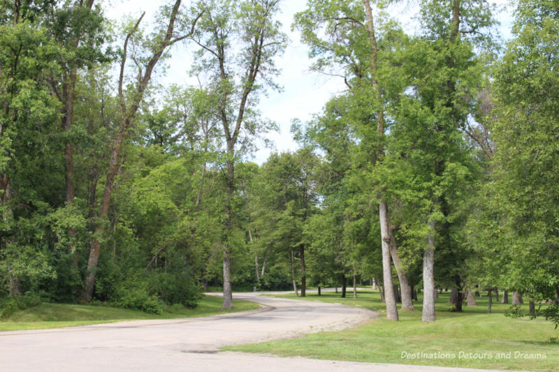 Road curving through trees in a city park