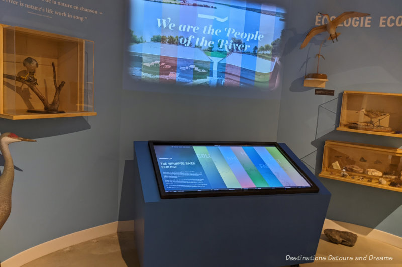 Interactive display case inside museum with projection - We are the People of the River