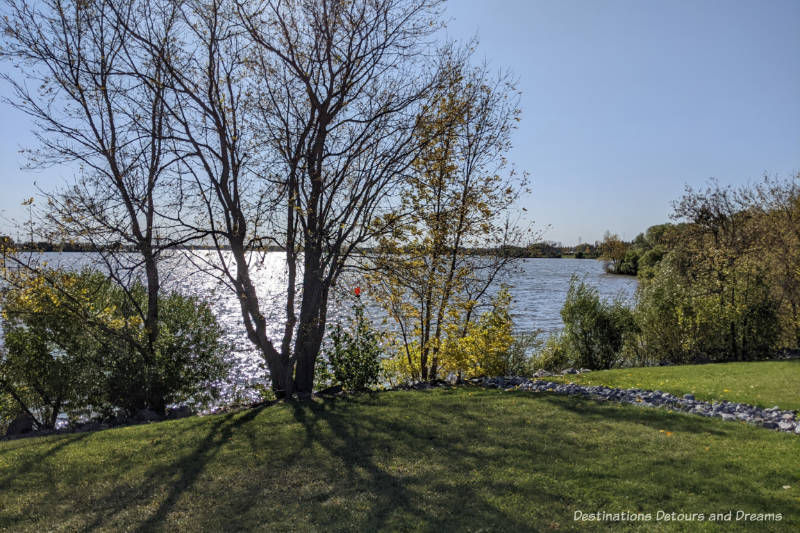 grassy area with large tree-lined river behind it and sun reflecting on centre of river