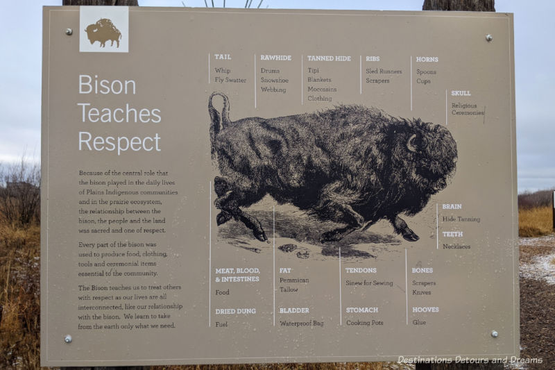 A sign about bison - what they teach and how the various parts of their bodies were used by First Nations