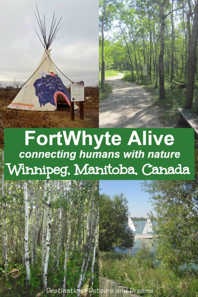 Alive With Flora, Fauna, and Fun at a Winnipeg Nature Preserve - Connect with nature at FortWhyte Alive in Winnipeg, Manitoba, Canada: nature trails, wildlife viewing, outdoor recreation, interpretative centre