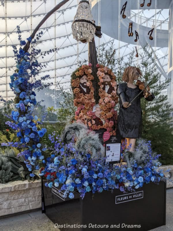 Floral art display honouring Winnipeg Symphony Orchestra features a cascade of blue flowers, a large cello with orange and peach blossom, and a mannequin wearing a dress of black leaves playing a violin