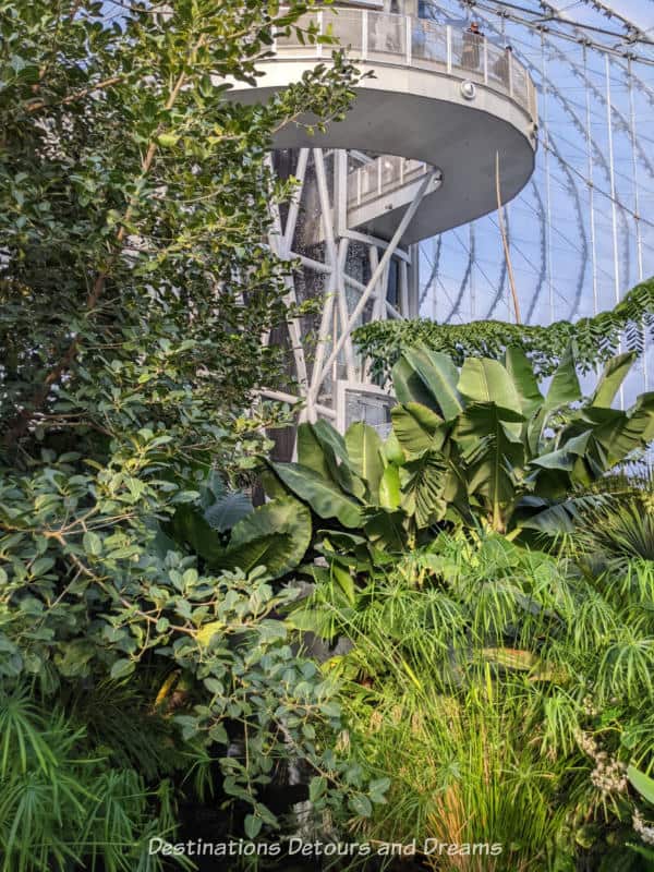 Rich tropical greenway at the base on a six-story waterfall with a walkway at the top inside The Leaf indoor gardens