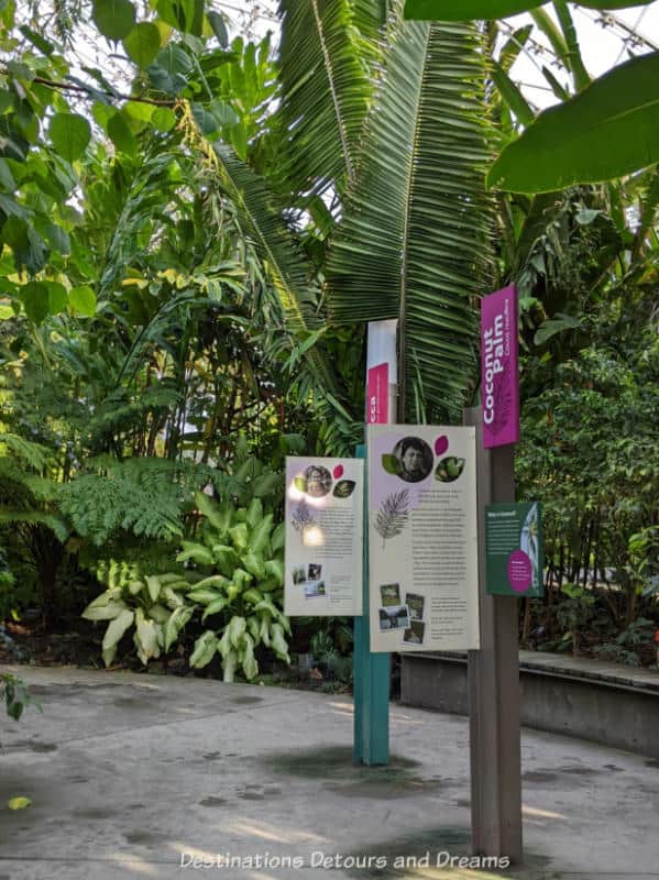 A walkway bordered by lush greenway in an indoor tropical garden contains pillars with signage about selected plants