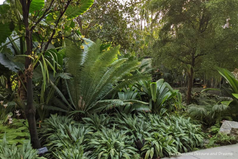 Lush tropical greenery inside an indoor garden at The Leaf