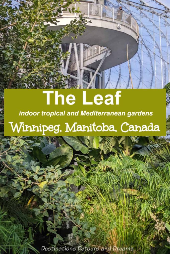 The Leaf: Indoor Tropical Garden in Winnipeg, a conservatory and spectacular horticultural attraction in Winnipeg, Manitoba, Canada containing tropical and Mediterranean gardens and a butterfly garden